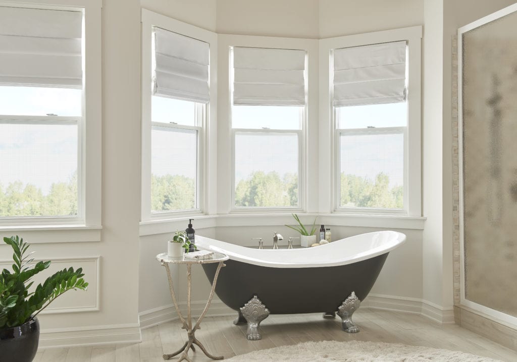 Paradigm-Windows-Bathroom